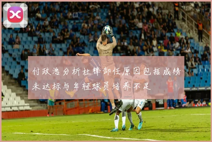付政浩分析杜锋卸任原因包括成绩未达标与年轻球员培养不足