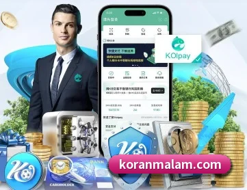 星空网官网登录入口 APP 深度功能
